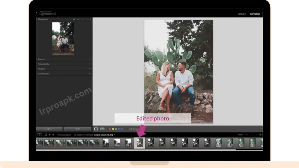 How To Apply Lightroom Preset To Multiple Photos 