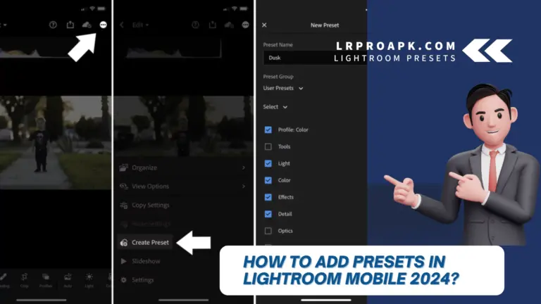 How To Add Presets In Lightroom Mobile 2024?